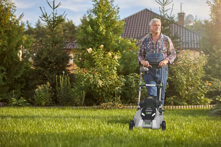 small electric grass mower